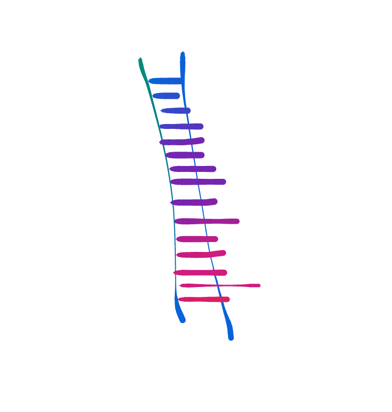 drawing of a ladder