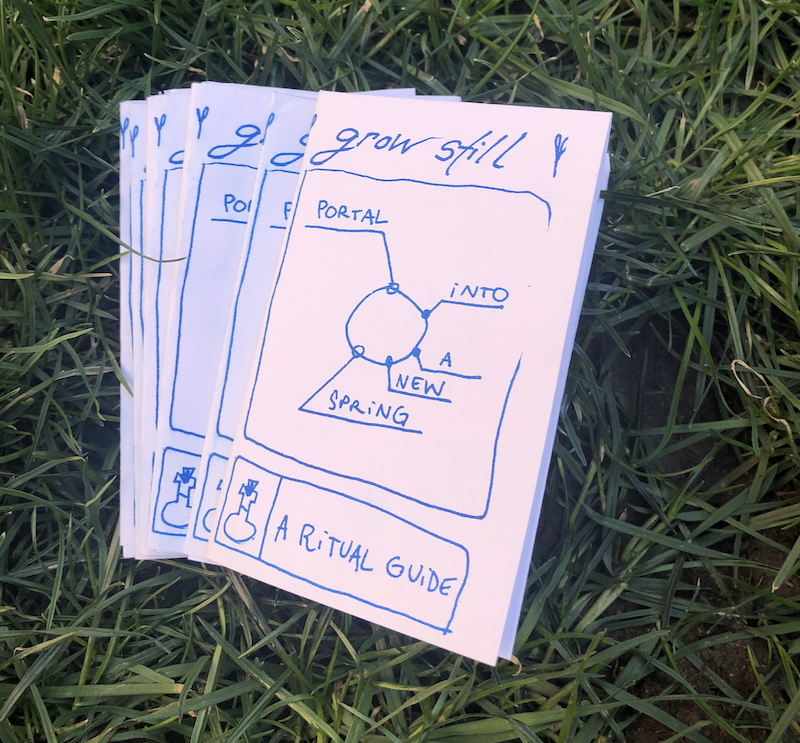 Stack of Grow Still zines, "a ritual guide", lying in grass