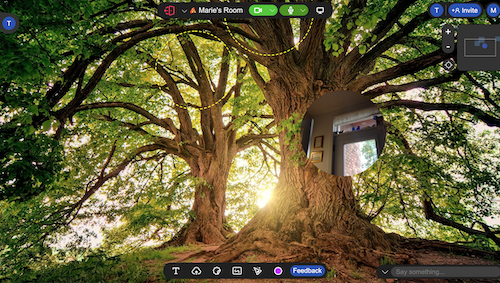 a screen with an enormous tree and a circle for each video call