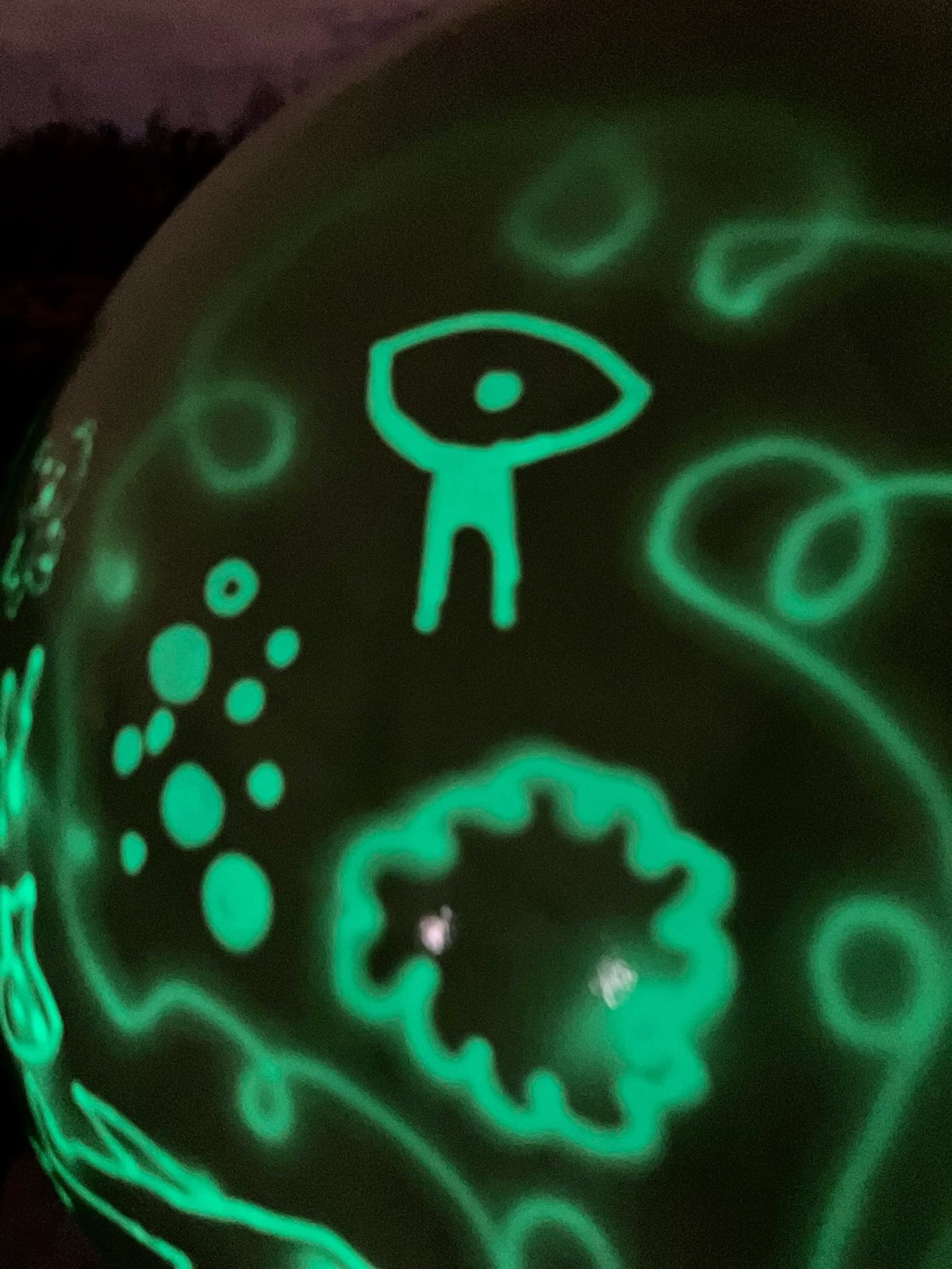 Gros plan sur les dessins de lumière verte d'une orbe : un personnage qui tient un œil, un soleil, des points.