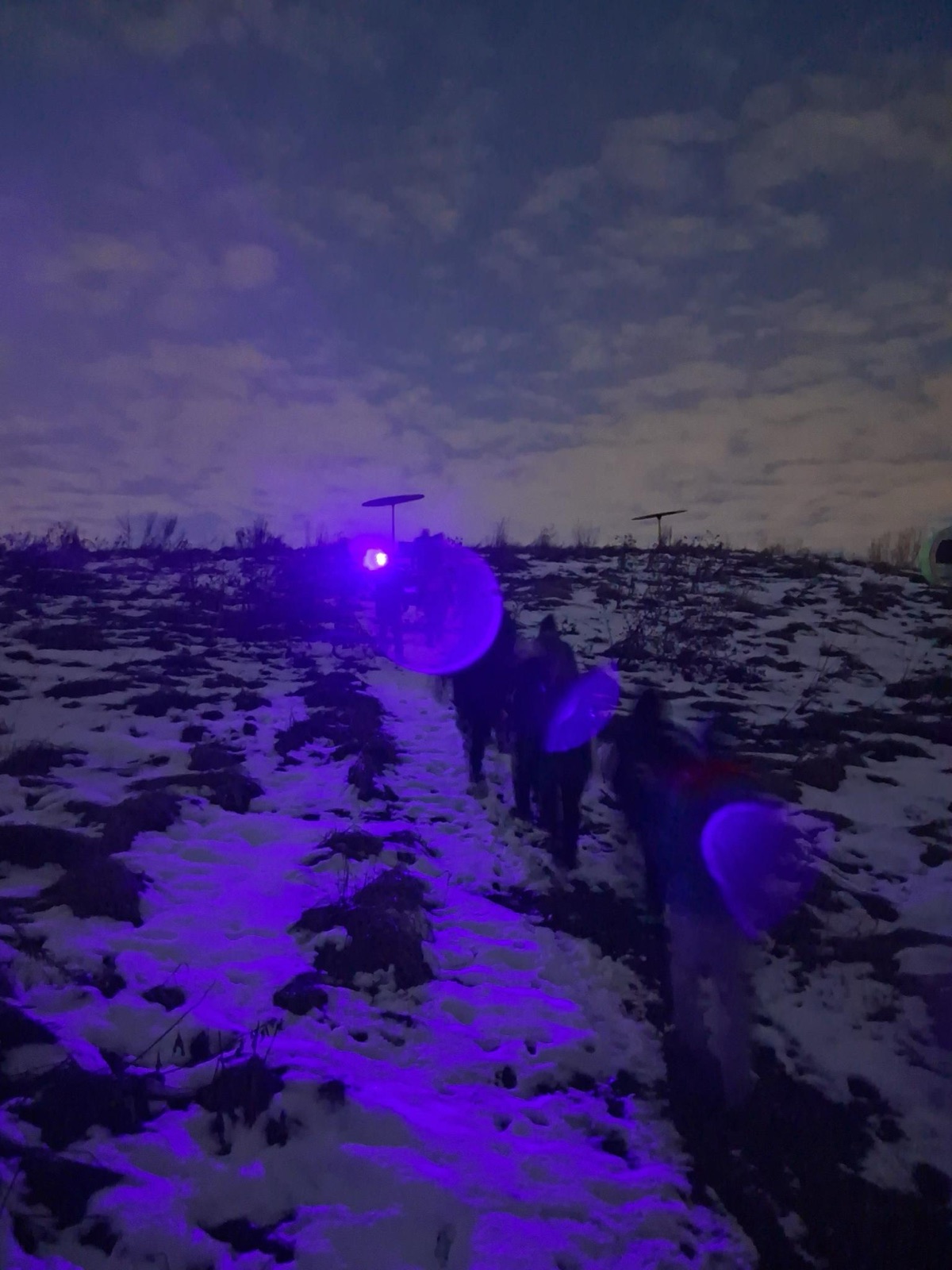 Un groupe marche à la file sur un sentier enneigé, la nuit, éclairé par des lampes de poche à lumière violette.